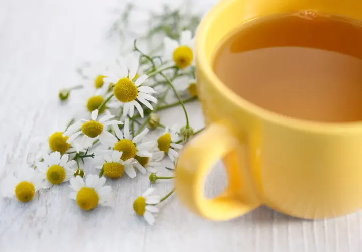 Camomilla e una tazza di tè giallo, rimedi veloci per il mal di stomaco.