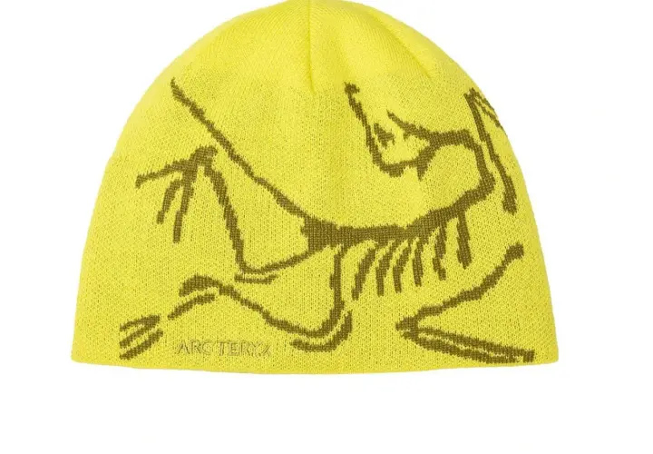 Arc'teryx Bird Head Mütze: Kult-Beanie im Test Lohnt sich der Hype?