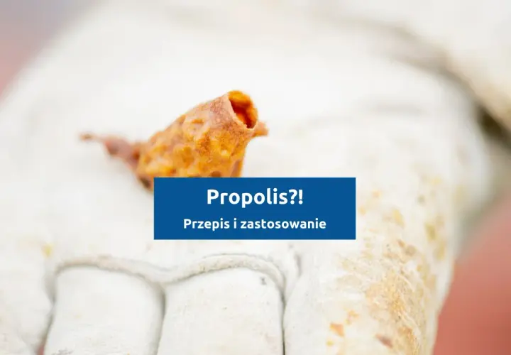 Jak zrobić kit pszczeli? Na białej rękawicy pszczelarskiej leży grudka propolisu. Obok tekst: "Propolis?! Przepis i zastosowanie".