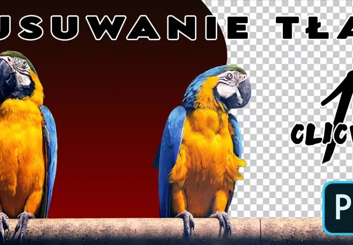 Jak usunąć białe tło w Photoshopie - proste metody krok po kroku