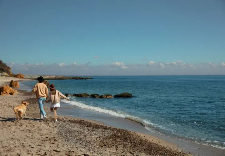 Para z psem spaceruje po plaży w Mielnie. To świetne mielno atrakcje poza sezonem, gdy jest spokojniej i można cieszyć się naturą.