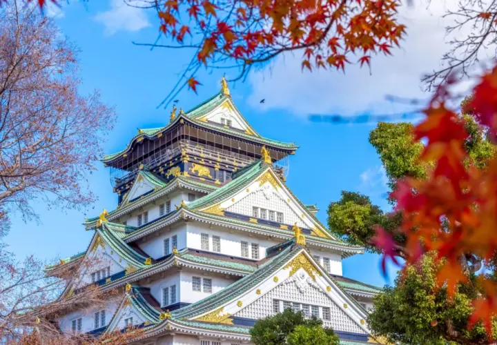 Zamek w Osace, kwitnący jesienią. Idealne miejsce na podróż i odkrywanie uroków Japonii.