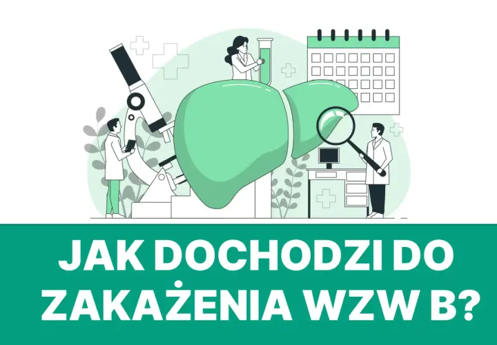 Naukowcy badają wątrobę i objawy wzw B. Mikroskop, probówki i kalendarz wskazują na analizę i planowanie leczenia.