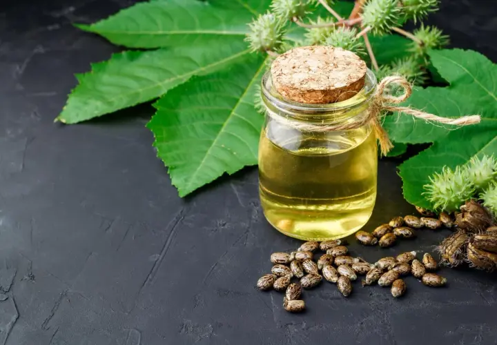 Aceite de ricino para el pelo en un frasco, rodeado de semillas y hojas de ricino.
