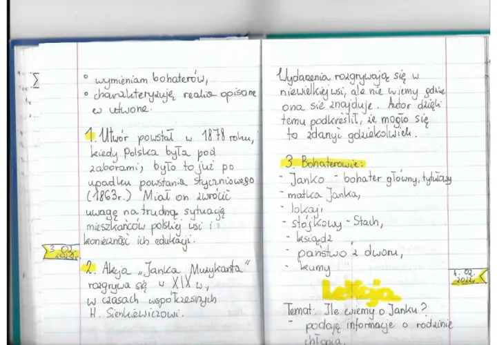 Janko Muzykant: Streszczenie, analiza. Dlaczego talent zginął?