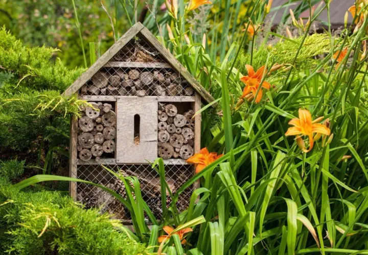 Ett insektshotell i trä, fyllt med träbitar och kvistar, står i en lummig trädgård bland gröna blad och orange liljor. Perfekt insektshotell placering för att locka pollinerare.