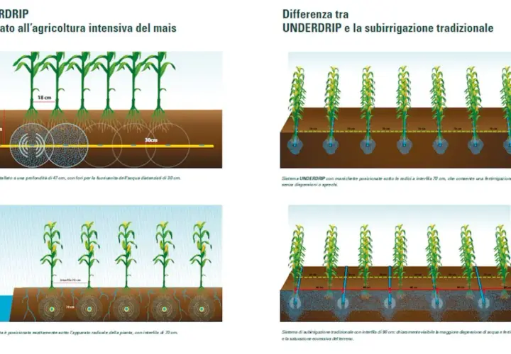 Confronto tra sistemi di irrigazione: UNDERDRIP e tradizionale. Illustra diversi tipi di terreno e la distribuzione di acqua e fertilizzanti.