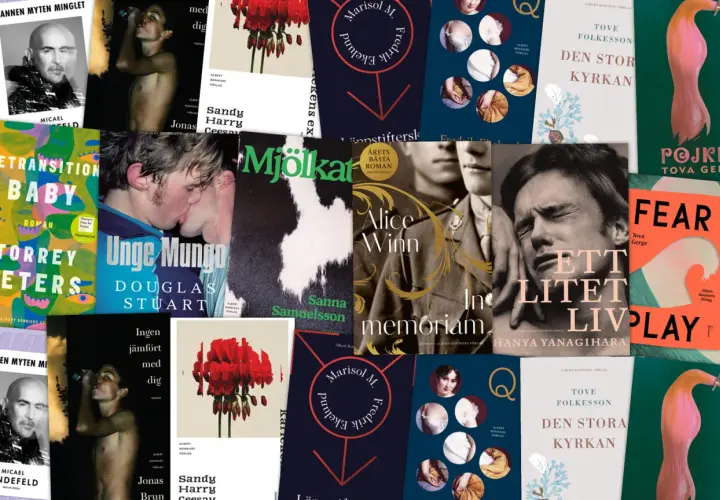 Collage of book covers featuring diverse imagery, including portraits, abstract art, and romantic scenes.