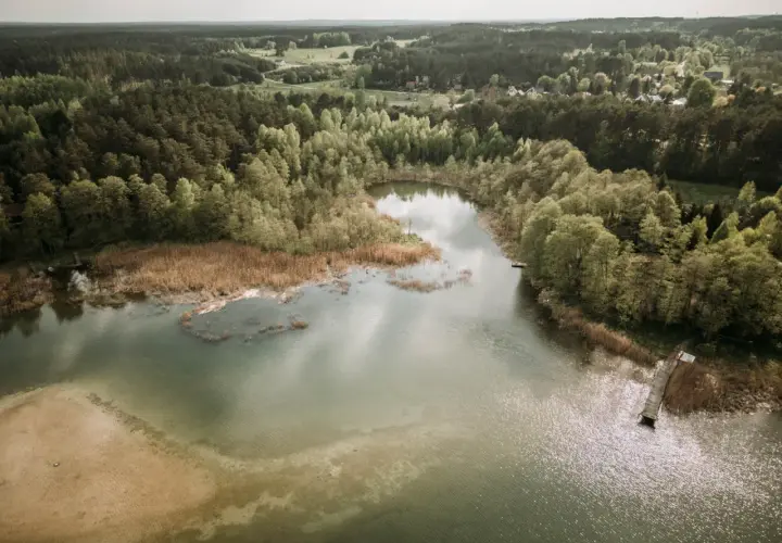 Malownicze jezioro Świętajno otoczone lasami i trzcinami. W oddali widać zabudowania wsi.