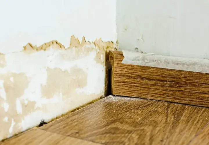 Feuchte Wand mit abblätternder Farbe und Holzleiste. Maßnahmen zur kapillarwirkung verhindern sind hier nötig.