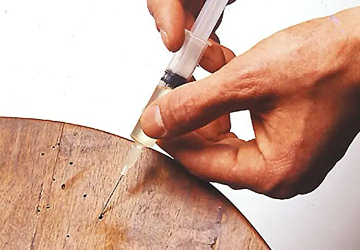 Mano inietta liquido da siringa in fori su legno, per eliminare tarli legno alcool.