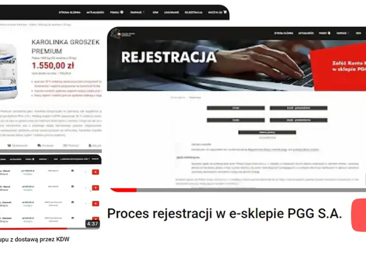 Jak kupić węgiel na PGG? Zobacz proces rejestracji i zakupu w e-sklepie PGG S.A. z dostawą przez KDW.