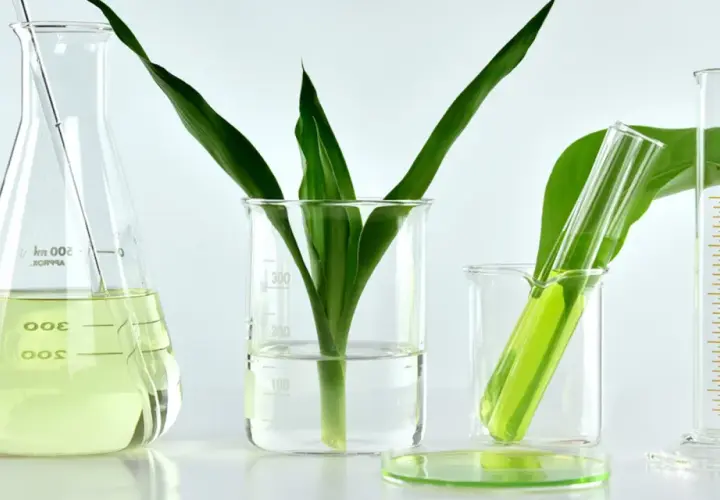 Verre de laboratoire avec des plantes vertes et un liquide jaune, évoquant la recherche sur le collagène végétal.
