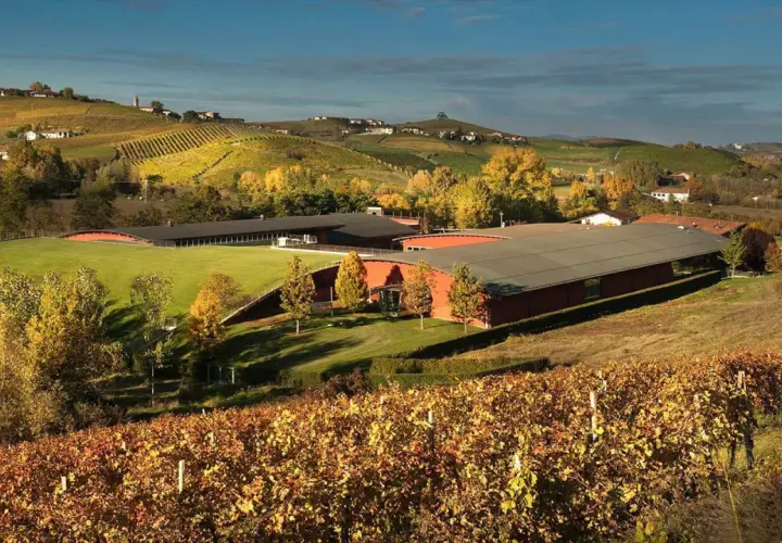 Colline piemontesi in autunno, con le **vite colte Barolo** che tingono il paesaggio di giallo e rosso, e una moderna cantina immersa nel verde.
