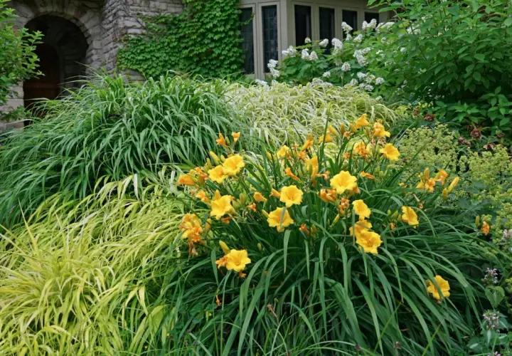 Eine üppige gartengestaltung mit taglilien, umrahmt von verschiedenen Gräsern und einem steinernen Torbogen.