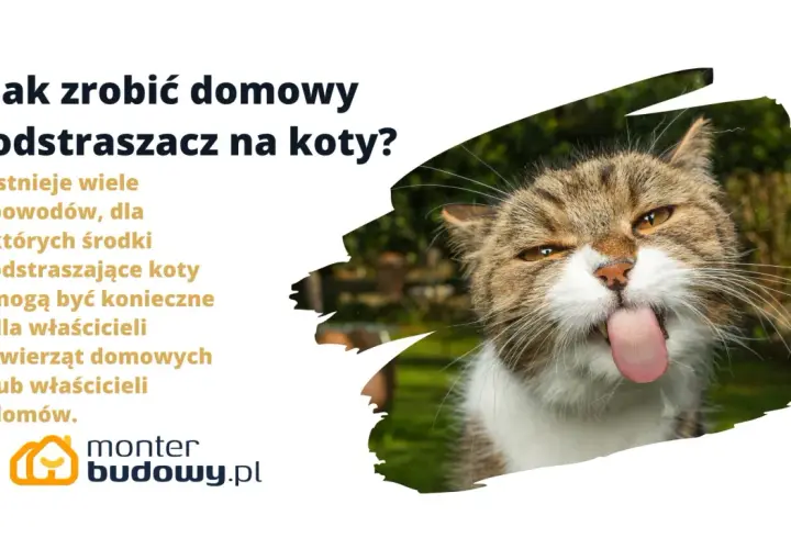 Jak zrobić domowy odstraszacz na koty? Dowiedz się, jak skutecznie zniechęcić koty do odwiedzania Twojego ogrodu.