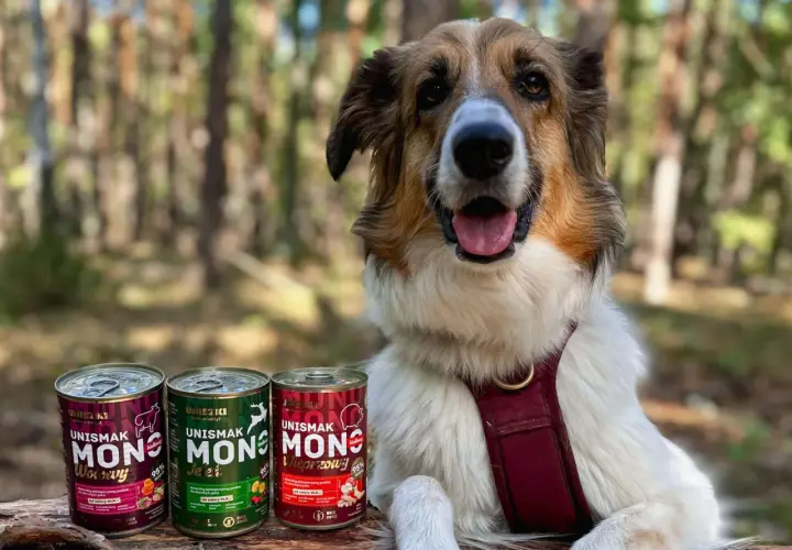 Szczęśliwy pies obok puszek z karmą UNISMAK MONO. Naturalne składniki, jakość human grade dla Twojego pupila.