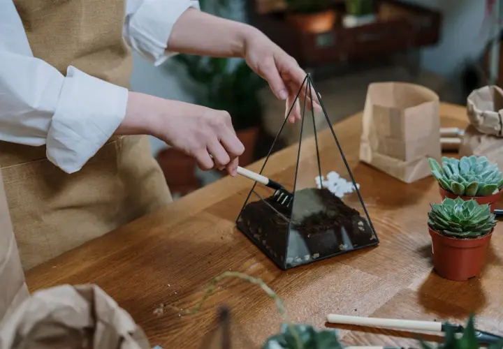 Manos creando un terrario con herramientas de jardinería, parte de manualidades con cosas de casa.