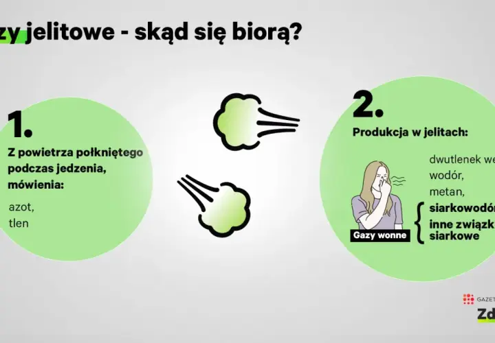 Gazy jelitowe powstają z połkniętego powietrza (azot, tlen) i produkcji w jelitach (dwutlenek węgla, wodór, metan, siarkowodór, inne związki siarkowe).