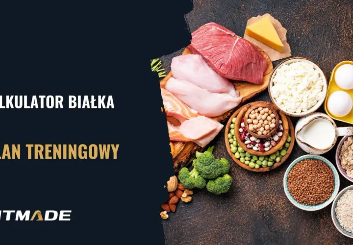 Kalkulator białka i plan treningowy. Różnorodne źródła białka: mięso, ryby, jajka, nabiał, rośliny strączkowe, płatki owsiane, ryż, kasza.