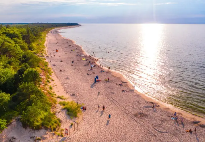 Piękna plaża z lasem sosnowym, idealne miejsce, by zastanowić się, gdzie na wakacje. Słońce odbija się w wodzie, a ludzie odpoczywają na piasku.