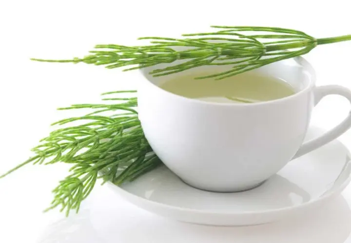 Cómo limpiar el organismo de medicamentos de forma natural y efectiva