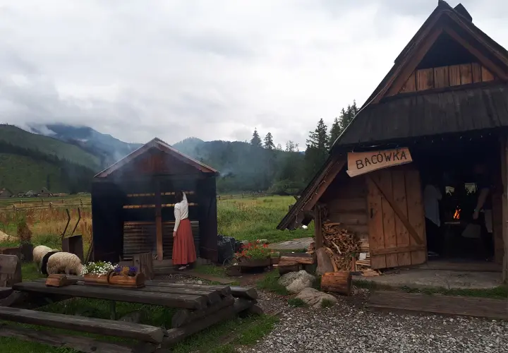 Bacówka Zakopane Oscypki – autentyczne smaki Tatr czekają na Ciebie