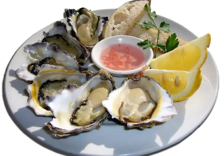 Ostra marisco fresco servida en plato con limón, pan y salsa rosada.