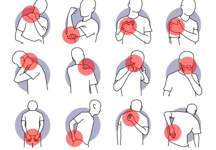 Schmerzpunkte am Körper: Nacken, Ellenbogen, Brust, Schulter, Kopf, Kiefer, Gesäß, Rücken. Informieren Sie sich über Osteopathie Kosten.