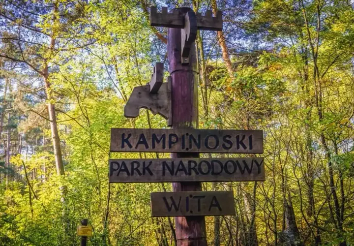 Drewniany drogowskaz "KAMPINOSKI PARK NARODOWY WITA" wita w sercu puszczy kampinoskiej, wśród zieleni drzew.