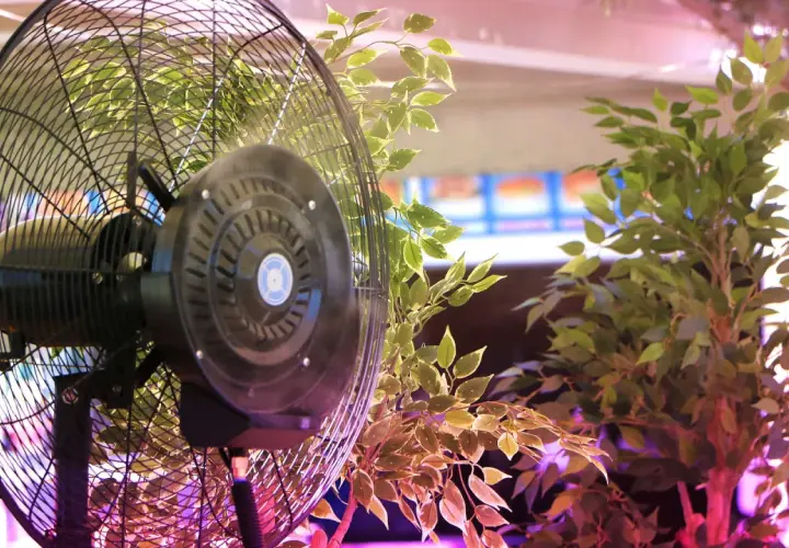Ventilatore sempre acceso in una grow box, circondato da piante verdi. L'aria circola per garantire la crescita ottimale.