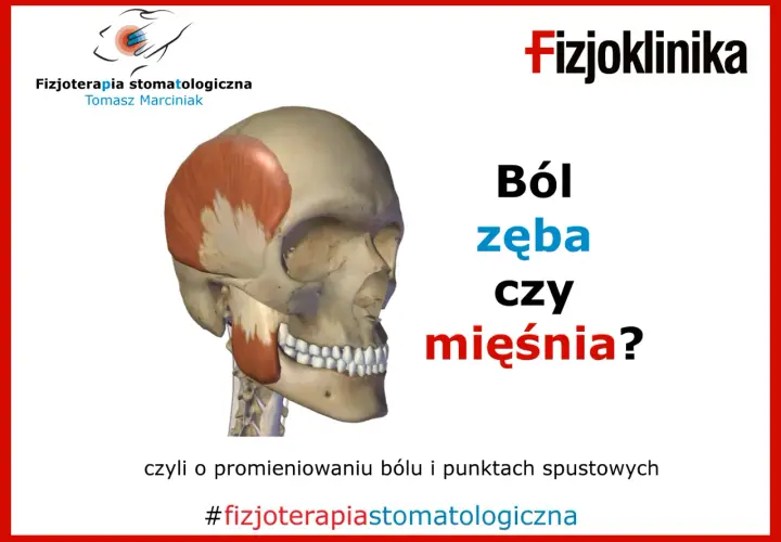 Czasem ból wszystkich zębów to nie problem z zębami, a z mięśniami. Fizjoterapia stomatologiczna pomoże!