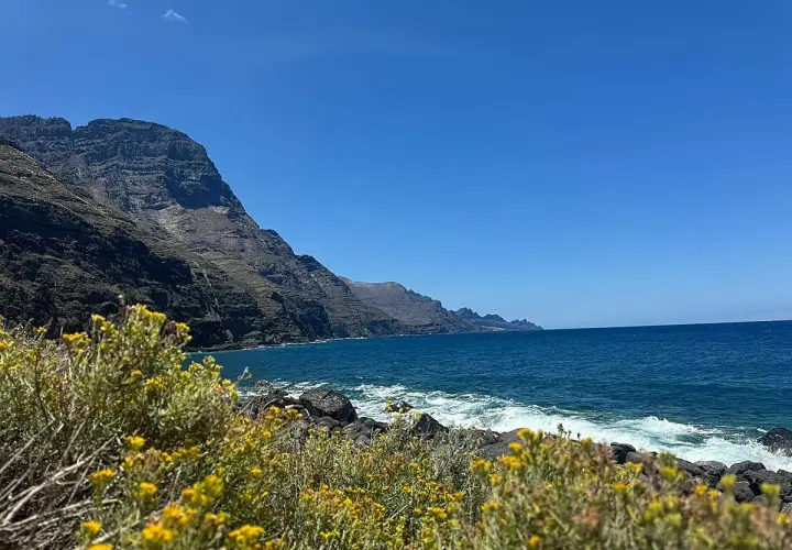 Flores amarillas en primer plano, mar azul y acantilados imponentes en la playa de Guayedra.