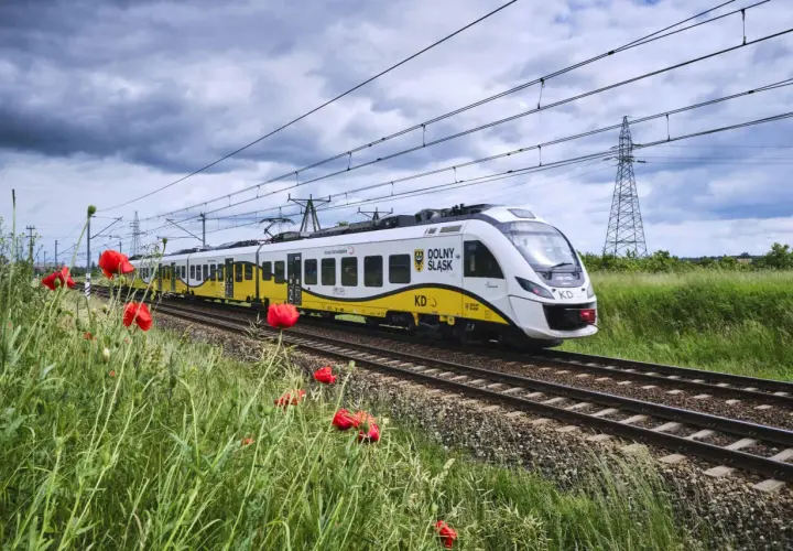 Nowy pociąg Newag Impuls Kolei Dolnośląskich mija pole maków pod burzowym niebem.