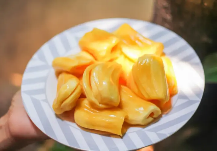 Kawałki jackfruit, czyli owocu chlebowca, na talerzu. Słodki i soczysty, idealny na przekąskę.