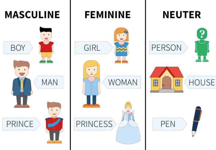 Esempi di nomi inglesi: BOY, MAN, PRINCE (maschile); GIRL, WOMAN, PRINCESS (femminile); PERSON, HOUSE, PEN (neutro).