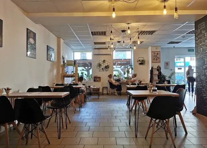 Gdzie zjeść w Włocławku? Odkryj najlepsze restauracje i smaki