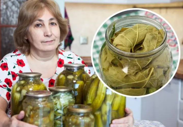 Czy można kroić ogórki do kiszenia? Oto, co musisz wiedzieć