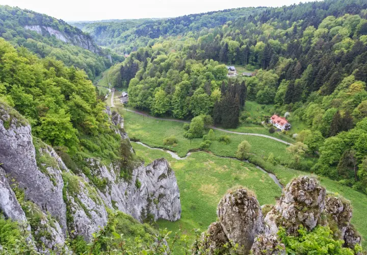 Malownicza dolina Prądnika z krętą rzeką, skalnymi ostańcami i zielonymi lasami. W oddali widać domki.