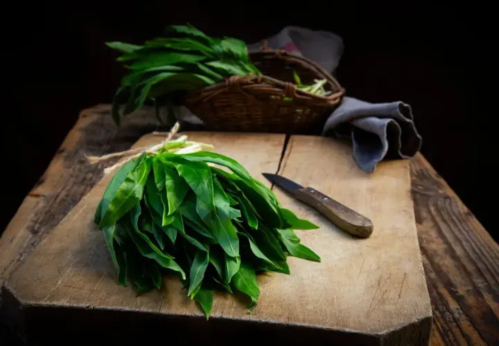 Un bouquet d'ail des ours fraîchement cueilli, prêt pour une recette. Un couteau repose sur la planche à découper en bois.