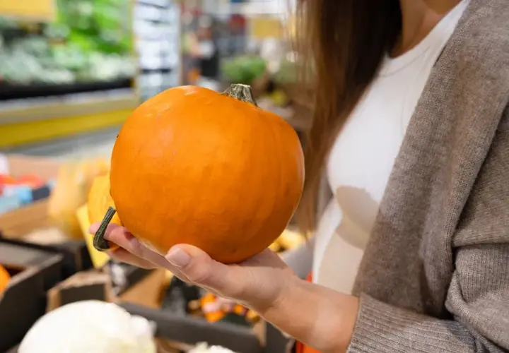 Mano che tiene una zucca Delica arancione, pronta per essere cucinata.