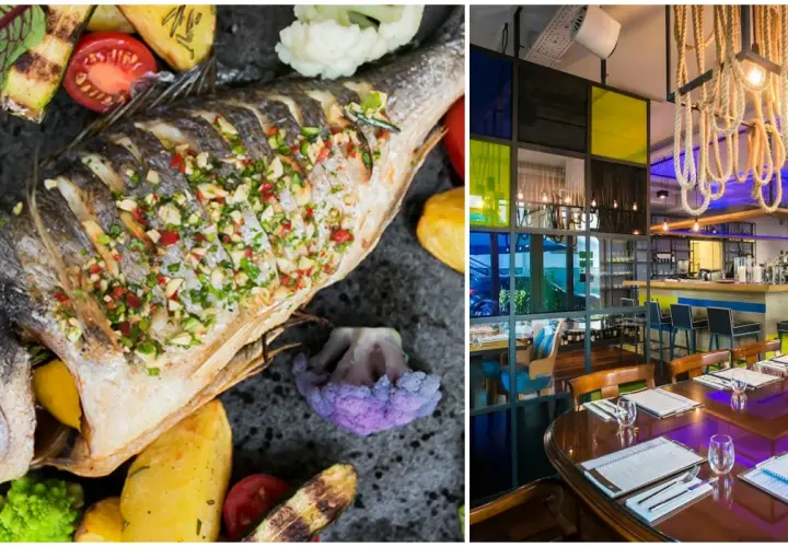 Serock gdzie zjeść – najlepsze restauracje i smaki, które musisz poznać