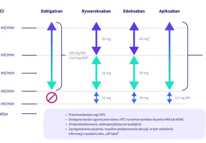 Wykres pokazuje dawkowanie leków przeciwzakrzepowych (dabigatran, rywaroksaban, edoksaban, apiksaban) w zależności od klirensu kreatyniny (CrCl). Pradaxa (dabigatran) ma specyficzne dawkowanie przy CrCl poniżej 30 ml/min.