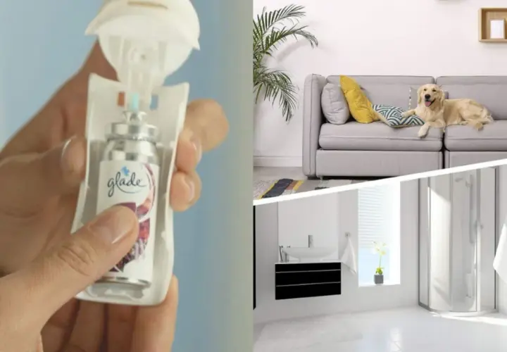 Un ambientador Glade en mano, un perro en el sofá y un baño reluciente. ¡Todo huele a limpio!