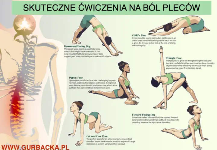 Skuteczne ćwiczenia na lordozę i ból pleców: pozycja psa z głową w dół, dziecka, trójkąta, gołębia, kota i krowy.
