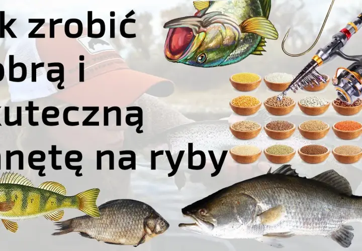 Najlepsze przynęty do żaka na ryby - skuteczne sposoby wabienia zdobyczy