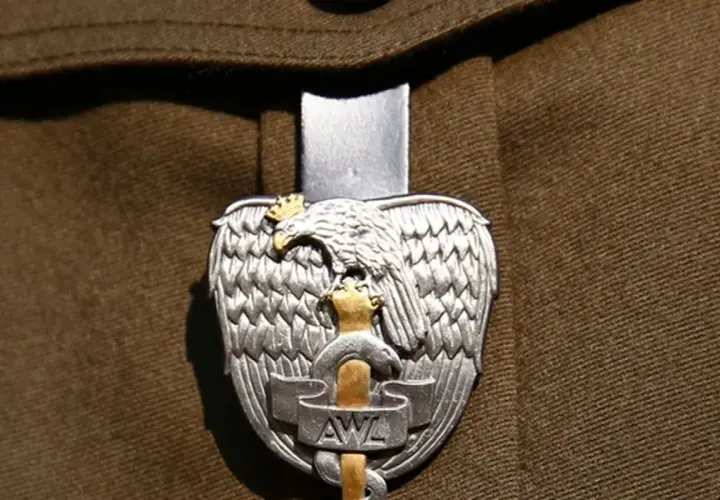 Orzeł wojskowy z koroną i mieczem, symbol najniższego stopnia oficerskiego, na brązowym mundurze.