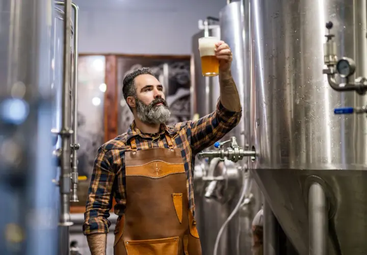 Browarnik ocenia piwo, analizując różnicę między piwem typu lager a ale w procesie fermentacji.