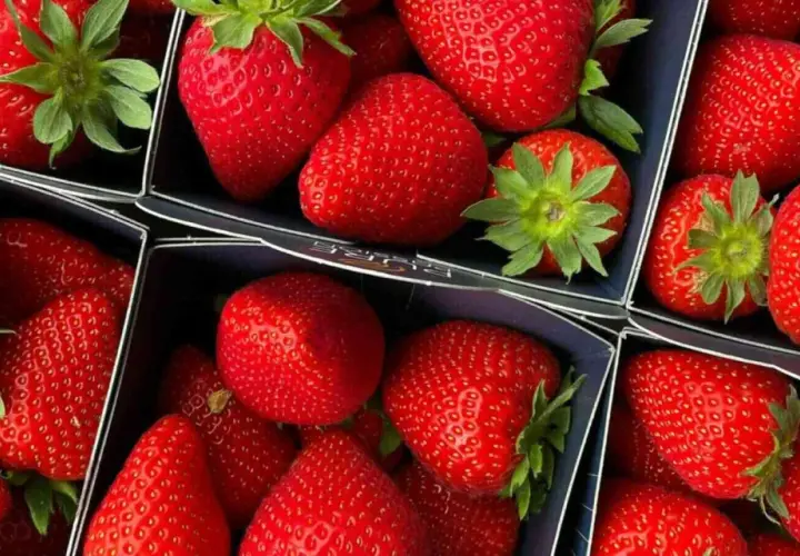 Soczyste, czerwone truskawki w pudełkach. Zastanawiasz się, ile kalorii mają truskawki? Są niskokaloryczne i pełne witamin!