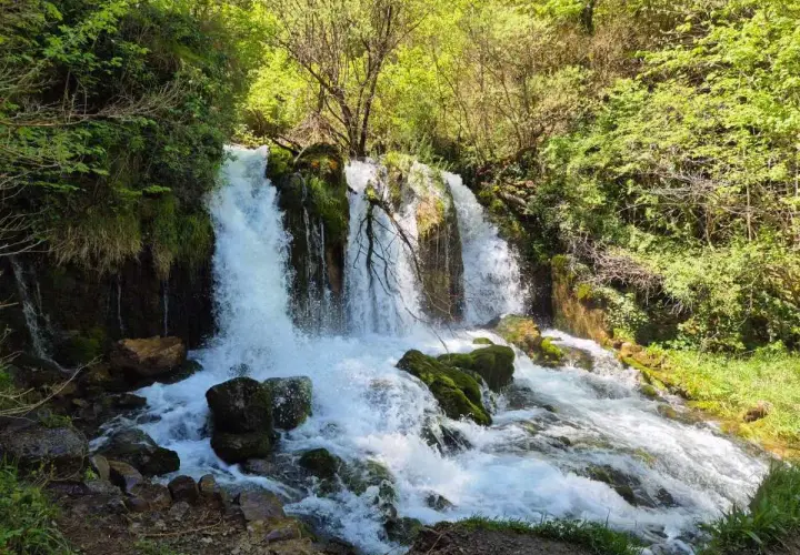 Persona de pie junto a una cascada en un acantilado rocoso rodeado de vegetación verde.